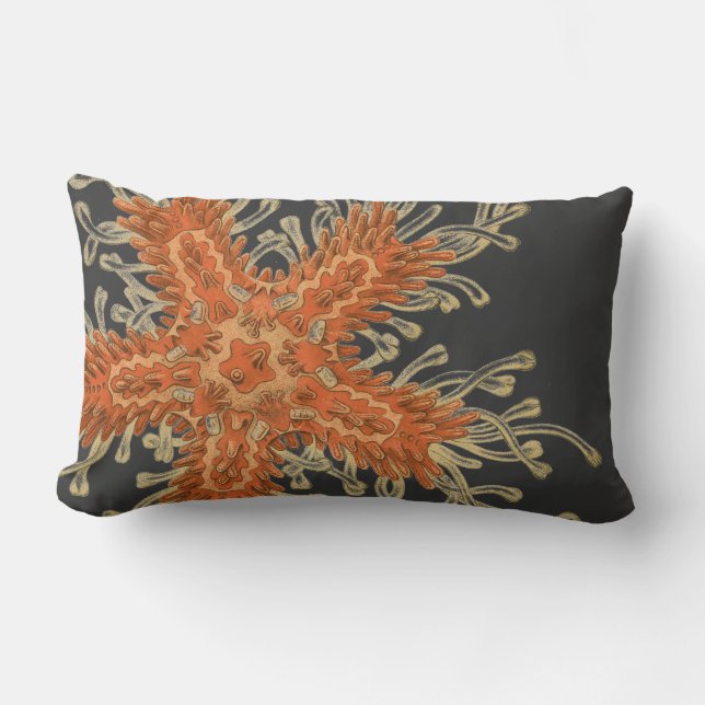 Haeckel Vintage Meereswelt Lendenkissen (Vorderseite)