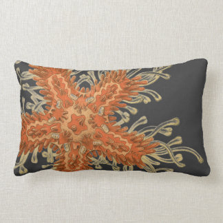 Haeckel Vintage Meereswelt Lendenkissen