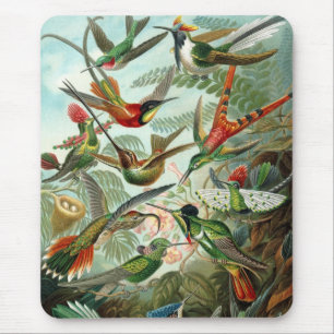 Haeckel-Vögel Mousepad