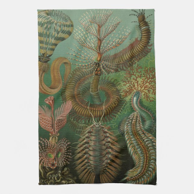 Haeckel-Wanzen Geschirrtuch (Vertikal)