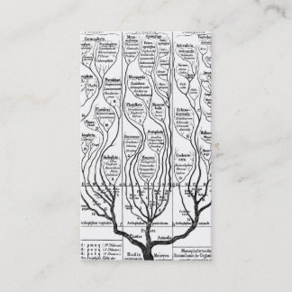 Haeckels Baum der Leben-Visitenkarte Visitenkarte