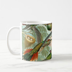Haeckel's Hummingbirds Kaffee Tasse