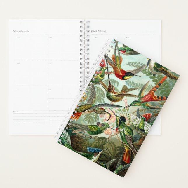 Haeckel's Hummingbirds Planner Planer (Anzeige)