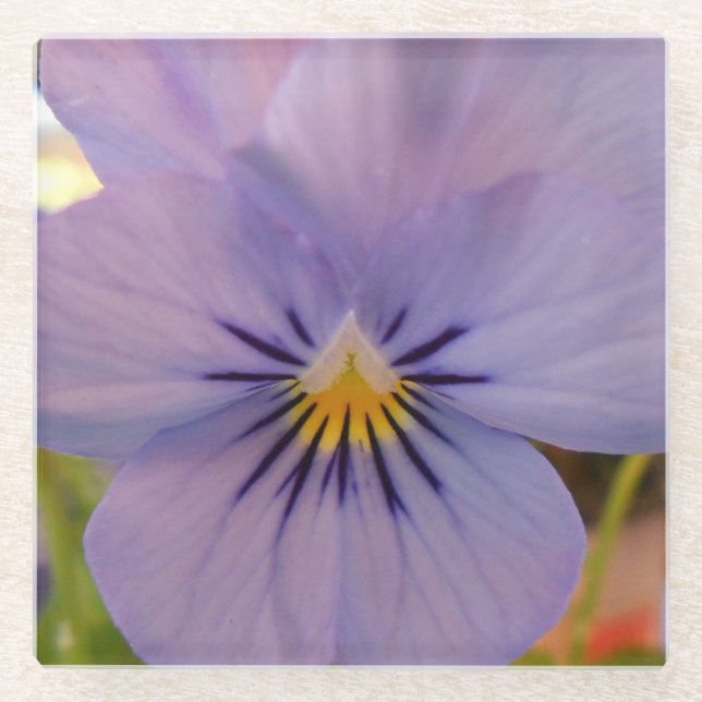 Haetzler Glasuntersetzer (Vorderseite)