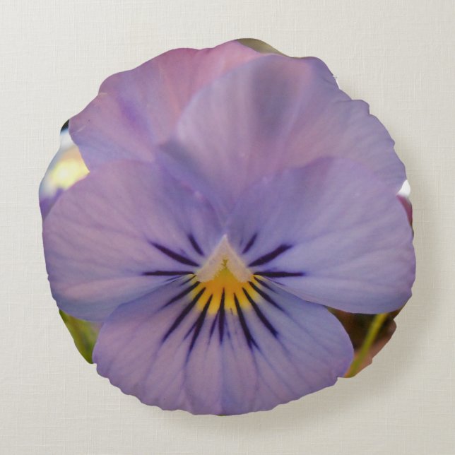 Haetzler Rundes Kissen (Rückseite)