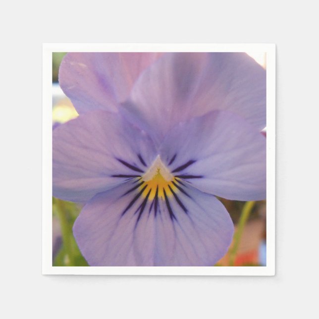 Haetzlern Serviette (Vorderseite)