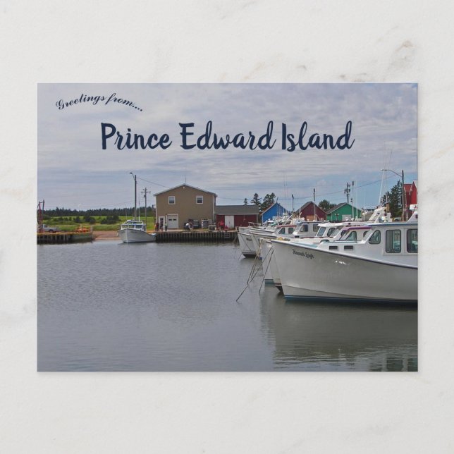 Hafen auf der Prince Edward Island Kanada Postkarte (Vorderseite)
