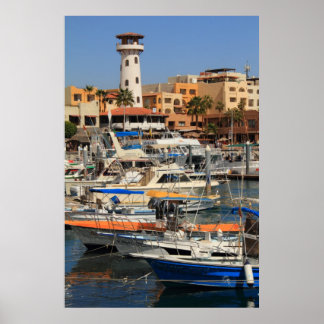 Hafen in Cabo San Lucas Poster