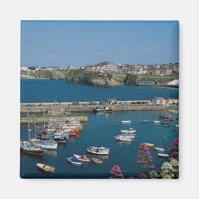 Hafen Newquay, Cornwall, Großbritannien Magnet (Vorne)