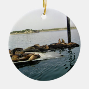 Hafen Siegel, Morro Bay, Kalifornien Keramik Ornament