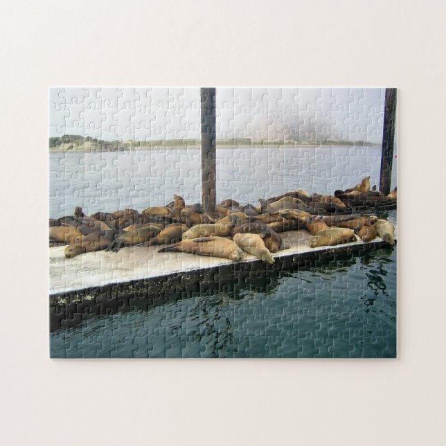Hafen Siegel, Morro Bay, Kalifornien Puzzle (Horizontal)