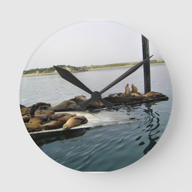 Hafen Siegel, Morro Bay, Kalifornien Runde Wanduhr (Vorderseite)