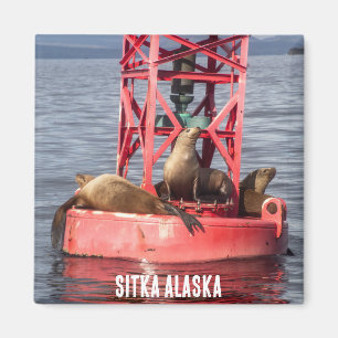 Hafen-Siegel - Sitka Alaska Magnet