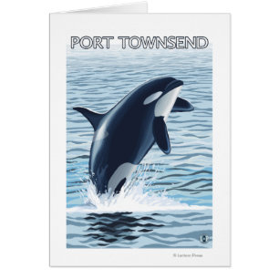 Hafen Townsend, WashingtonOrca Springen