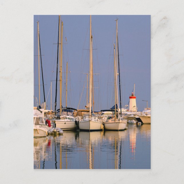 Hafen von Hyères les Palmiers Postkarte (Vorderseite)