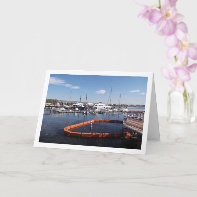 Hafen von Paphos, Zypern Karte (Orchidee)