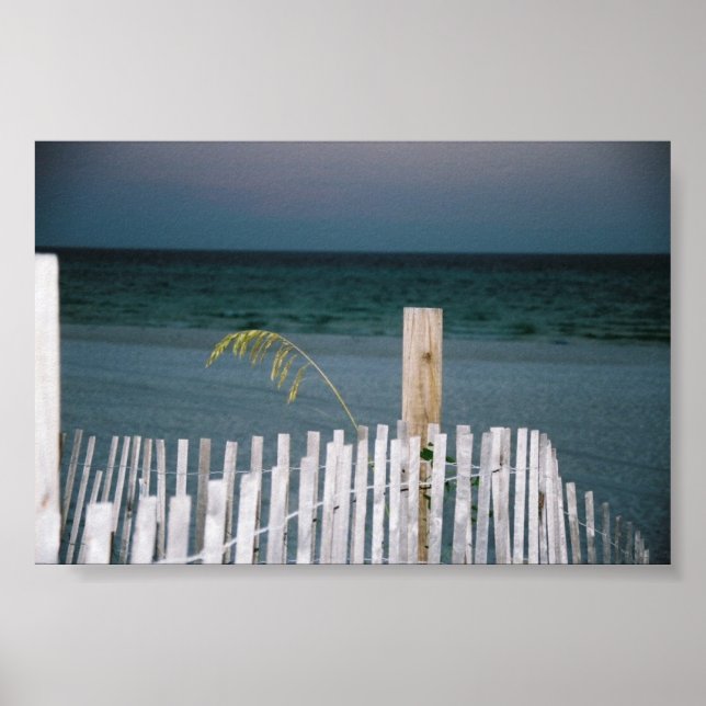 Hafer Poster (Vorne)