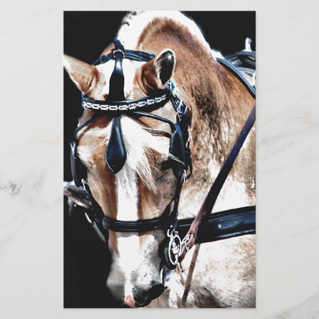 Haflinger (Vorderseite)