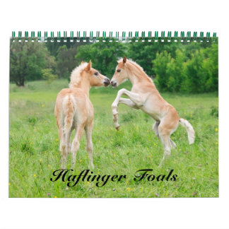 Haflinger Foals - mittelgroße Haflinger Foals Kalender