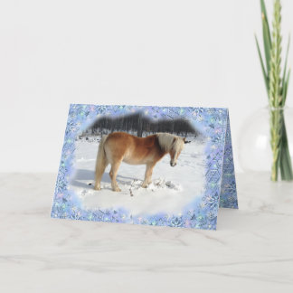 Haflinger Horse Holiday Greeting Card Feiertagskarte