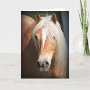 Haflinger Horse Karte