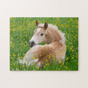 Haflinger Horse Niedlich Fohlen Erholung in Blumen Puzzle