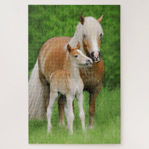 Haflinger Horses Niedlich Foal Kiss Mum Foto - Spi Puzzle