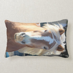 Haflinger Lendenkissen