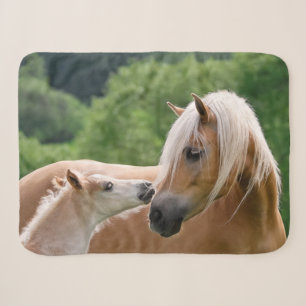 Haflinger Niedlich Pferde Fohlen und Mama Cuddling Sherpadecke