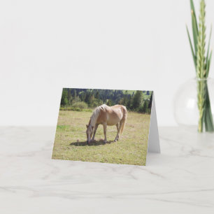 Haflinger Palomino Pony im Foto der Sommerweiden Karte
