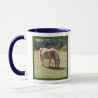 Haflinger Palomino Pony im Foto der Sommerweiden