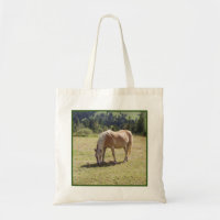 Haflinger Palomino Pony im Foto der Sommerweiden