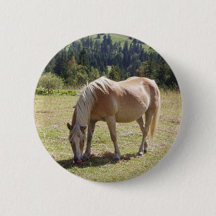 Haflinger Palomino Pony im Foto Grüne Weide Button