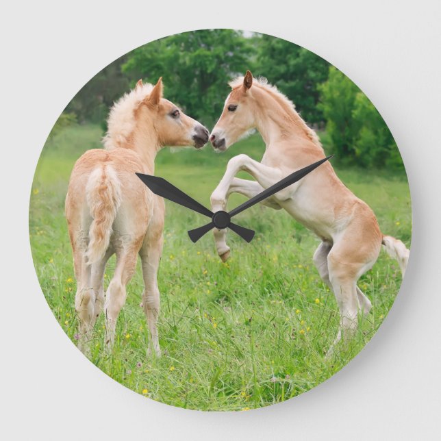 Haflinger pfercht niedliche Fohlen Große Wanduhr (Vorderseite)