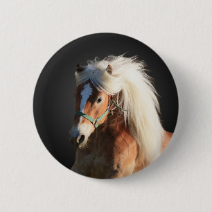 Haflinger Pferd Button