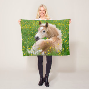 Haflinger Pferd Niedlich Foal Ruhen in einem Blume Fleecedecke