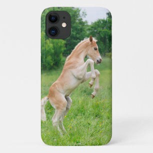 Haflinger Pferd, Niedliche Fossilien, gefrierfress Case-Mate iPhone Hülle