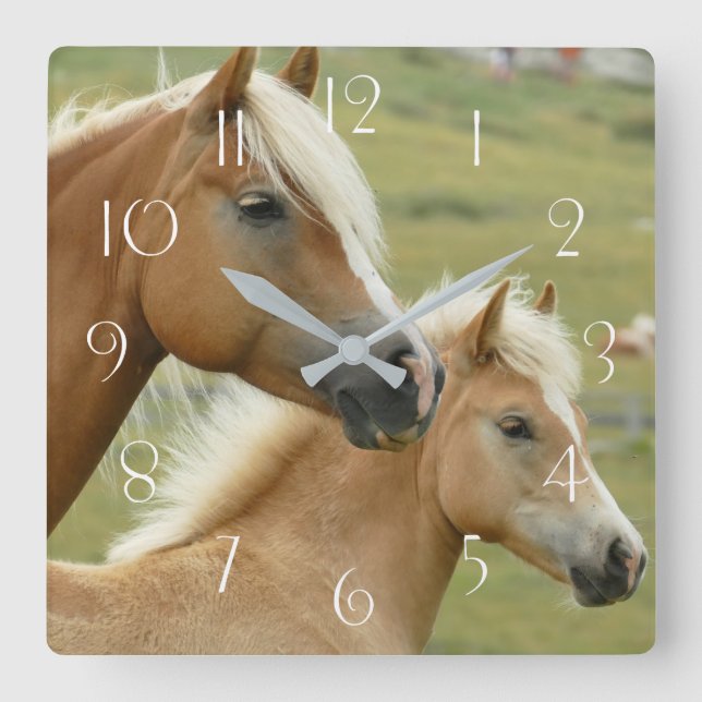 Haflinger-Pferd und -Fohlen Quadratische Wanduhr (Vorderseite)