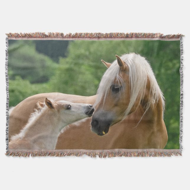 Haflinger Pferde Foal Mare Cuddling, weich Decke (Vorderseite)