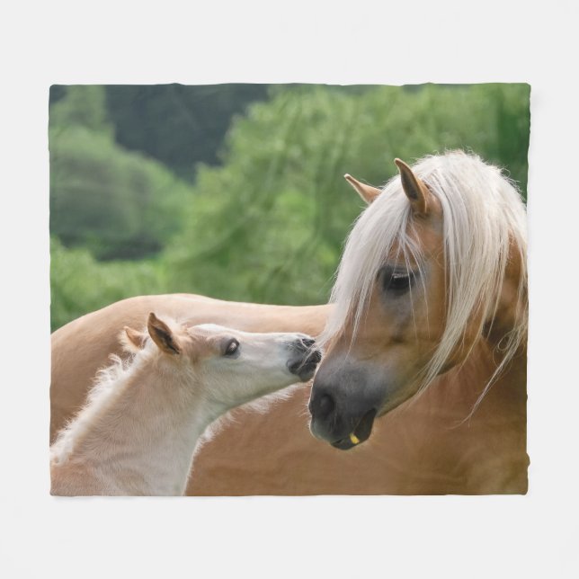 Haflinger Pferde Foal und Mare kuddlen, Komfort Fleecedecke (Vorderseite (Horizontal))