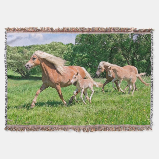 Haflinger Pferde mit Niedlichen Foals Run Funny Fo Decke (Vorderseite)