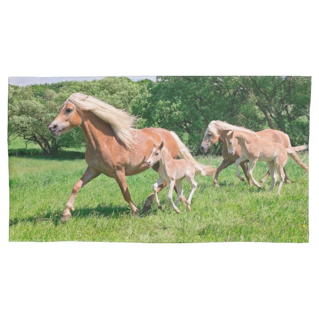 Haflinger Pferde mit Niedlichen Foals Run Funny Fo Kissenbezug (Vorderseite)