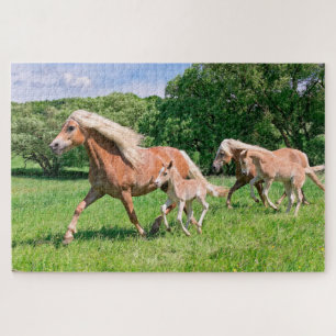 Haflinger Pferde mit Niedlichen Foals Run Funny Fo Puzzle