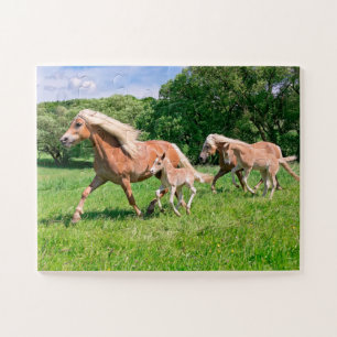 Haflinger Pferde mit Niedlichen Foals Run Funny Fo Puzzle
