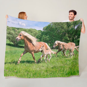 Haflinger Pferde mit niedlichen Fohlen lassen Fleecedecke