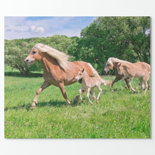 Haflinger Pferde Mit Niedlichen Fohlen Lassen Geschenkpapier Zazzle At