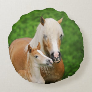 Haflinger Pferde Niedlich Foal Kiss Mum Foto glatt Rundes Kissen