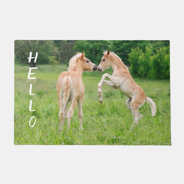 Haflinger Pferde Niedlich Foals Friends Reprodukti Fußmatte (Vorderseite)