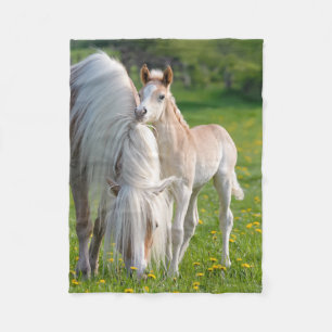 Haflinger Pferde Niedliche Babyfohle mit Mama Foto Fleecedecke