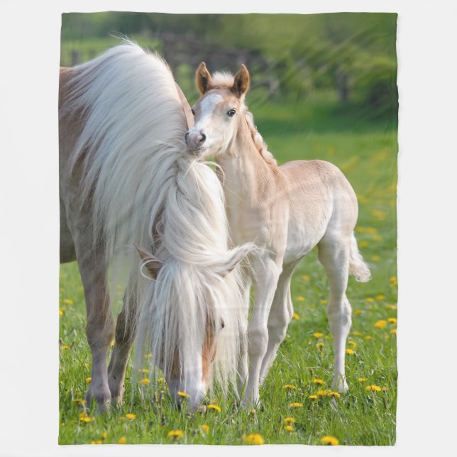 Haflinger Pferde Niedliche Babyfohle mit Mama-Foto Fleecedecke (Vorderseite)